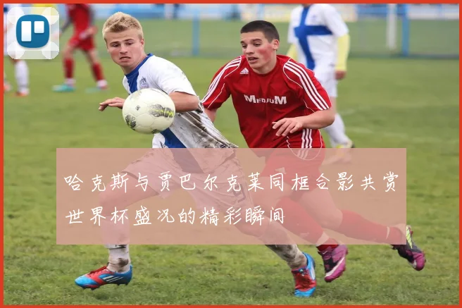 哈克斯与贾巴尔克莱同框合影共赏世界杯盛况的精彩瞬间