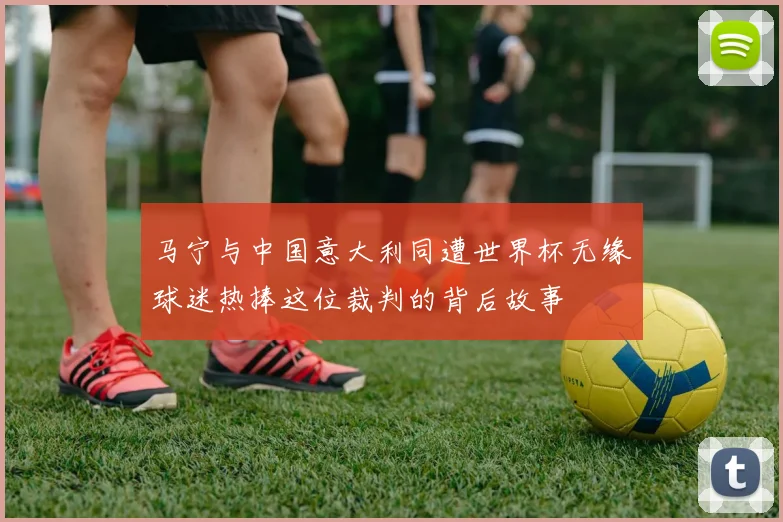 马宁与中国意大利同遭世界杯无缘球迷热捧这位裁判的背后故事