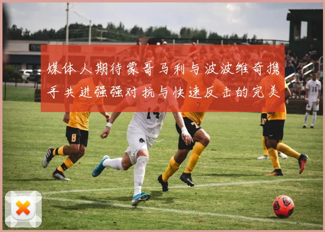 媒体人期待蒙哥马利与波波维奇携手共进强强对抗与快速反击的完美结合